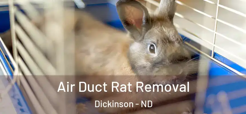  Air Duct Rat Removal Dickinson - ND