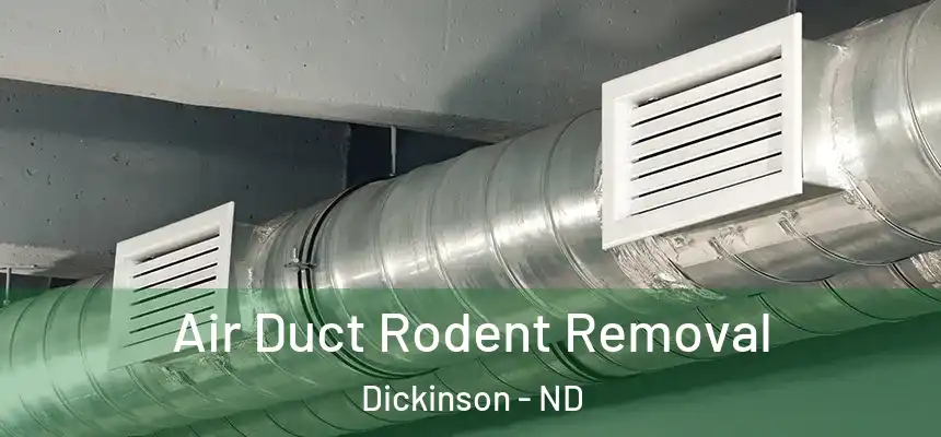  Air Duct Rodent Removal Dickinson - ND