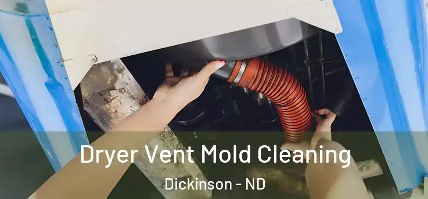  Dryer Vent Mold Cleaning Dickinson - ND