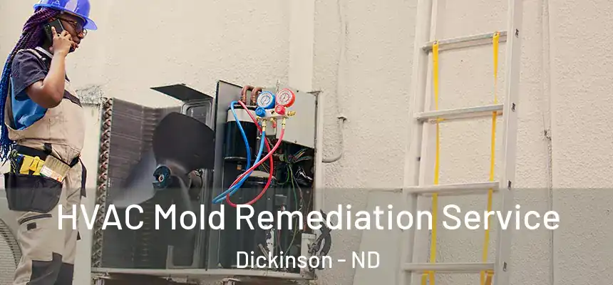  HVAC Mold Remediation Service Dickinson - ND