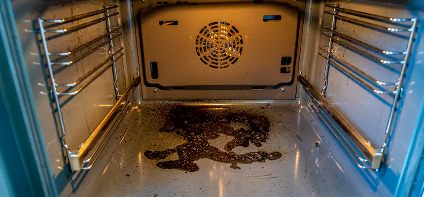 Our Dryer Vent Mold Cleaning Services in Dickinson, ND