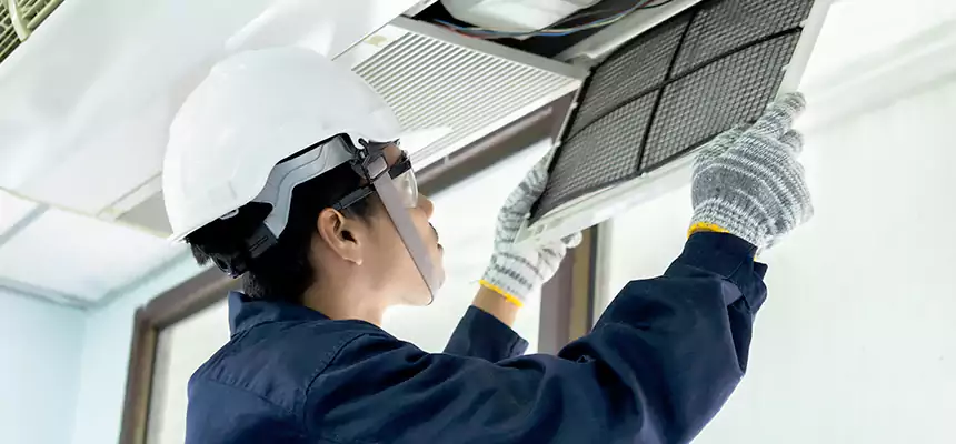 Our Mold & Mildew Removal from Air Ducts Services in Dickinson, ND