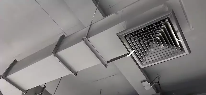 Our Pest Removal From Ducts Services in Dickinson, ND