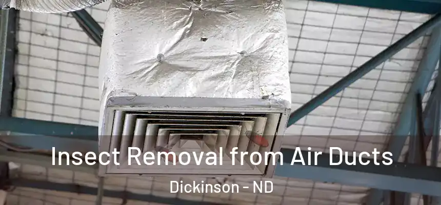  Insect Removal from Air Ducts Dickinson - ND