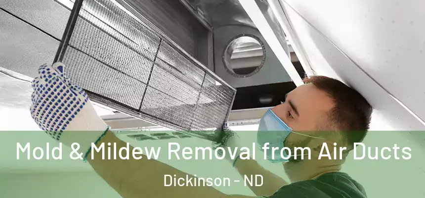  Mold & Mildew Removal from Air Ducts Dickinson - ND