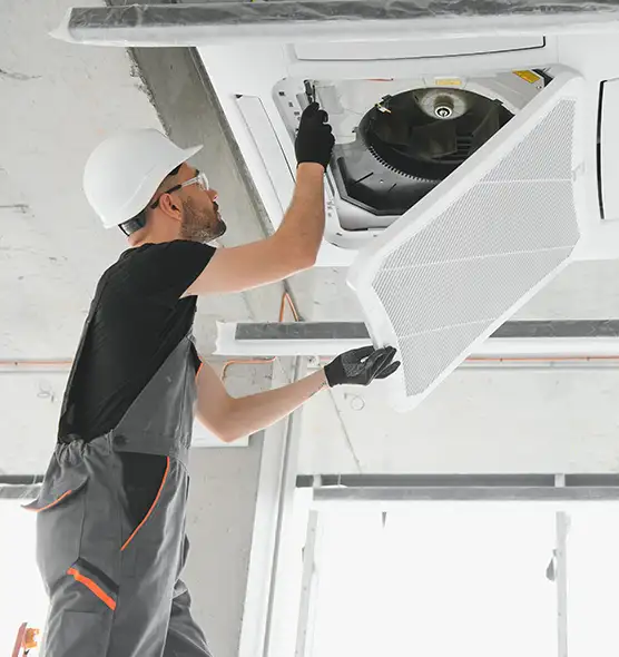 About Air Duct Rodent Removal in Dickinson, ND